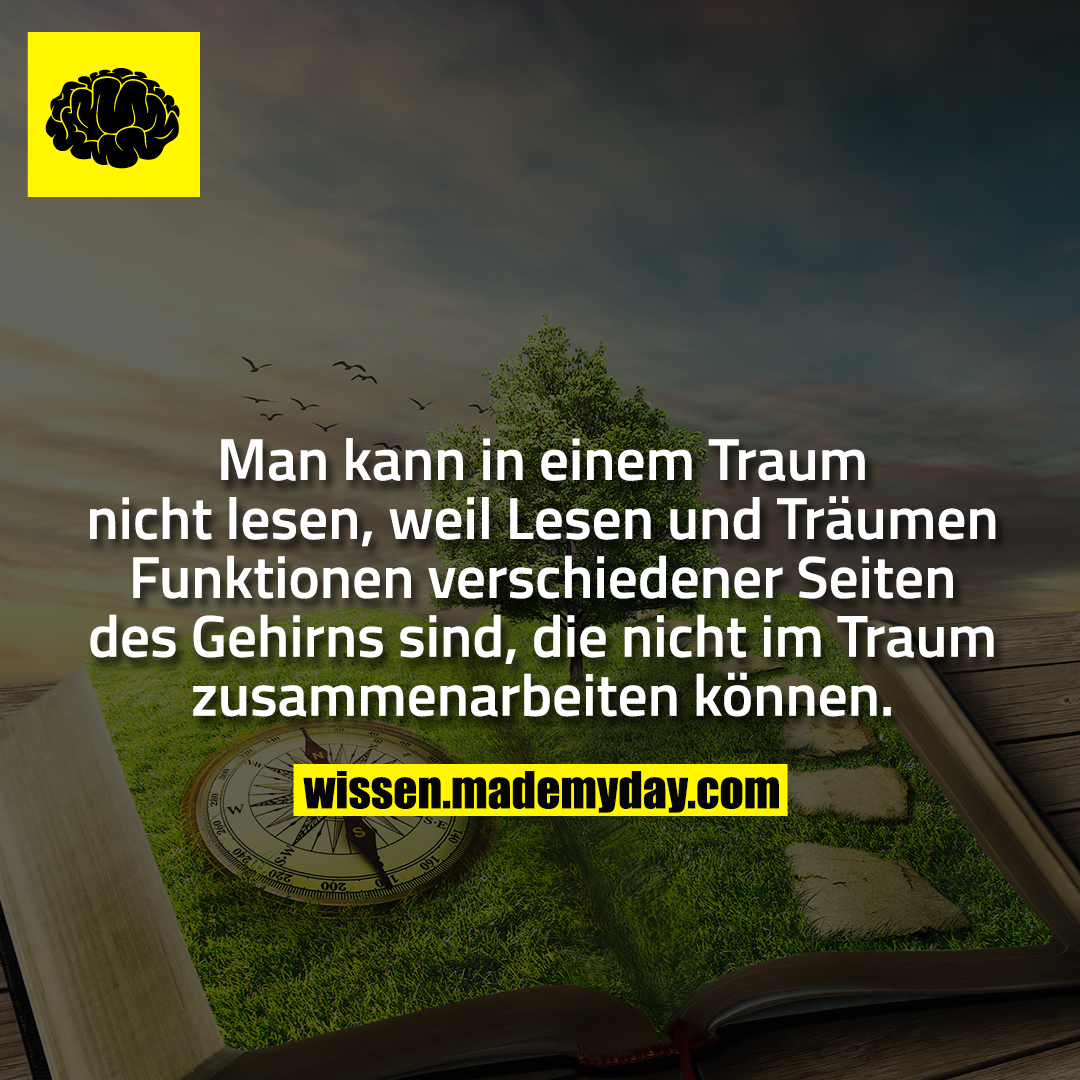 Man kann in einem Traum nicht lesen, weil Lesen und Träumen Funktionen verschiedener Seiten des Gehirns sind, die nicht im Traum zusammenarbeiten können.