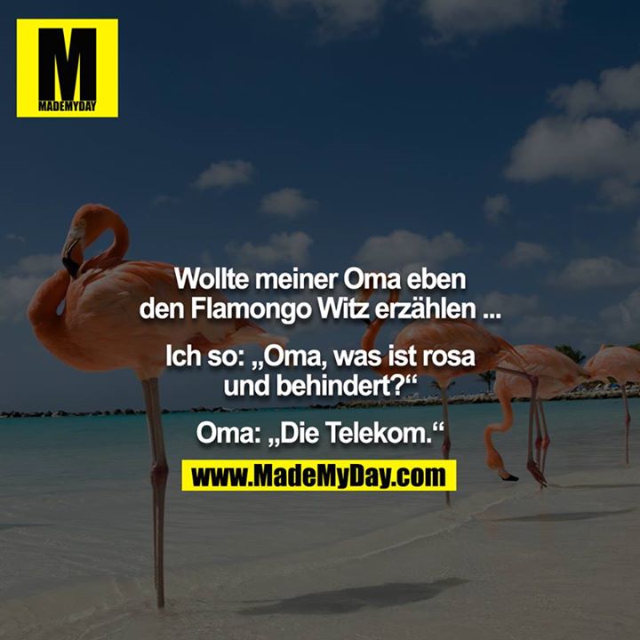 Wollte meiner Oma eben den Flamongo Witz erzählen ...<br />
<br />
Ich so: „Oma, was ist rosa und behindert?“<br />
<br />
Oma: „Die Telekom.“