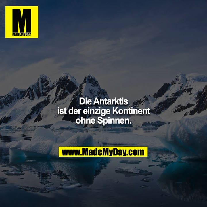 Die Antarktis ist der einzige Kontinent ohne Spinnen.