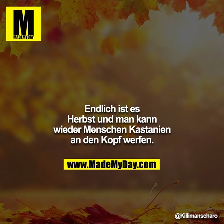 Endlich ist es Herbst und man kann wieder Menschen Kastanien an den Kopf werfen.