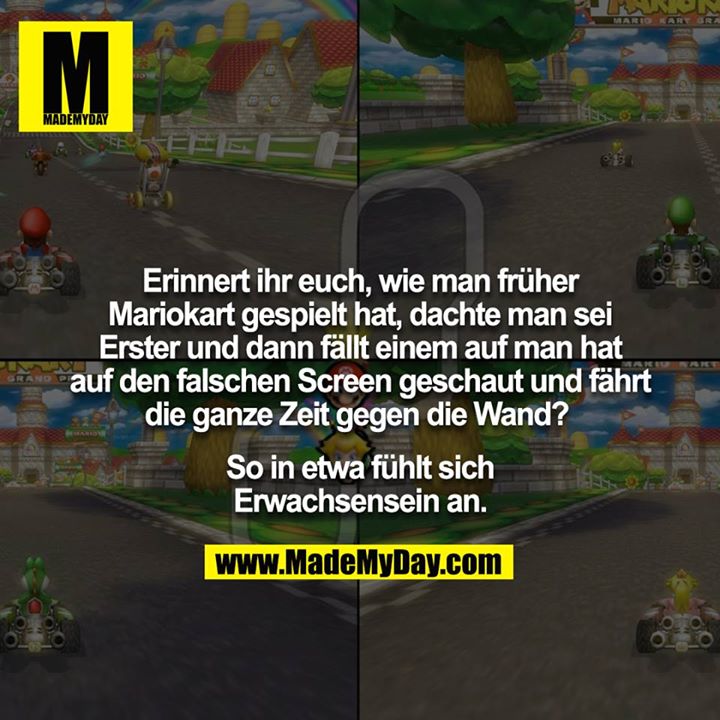 Erinnert ihr euch, wie man früher Mariokart gespielt hat, dachte man sei Erster und dann fällt einem auf man hat auf den falschen Screen geschaut und fährt die ganze Zeit gegen die Wand? <br />
<br />
So in etwa fühlt sich Erwachsensein an.