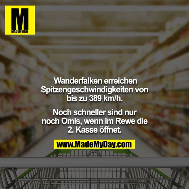 Wanderfalken erreichen Spitzengeschwindigkeiten von bis zu 389 km/h.<br />
<br />
Noch schneller sind nur noch Omis, wenn im Rewe die 2. Kasse öffnet.