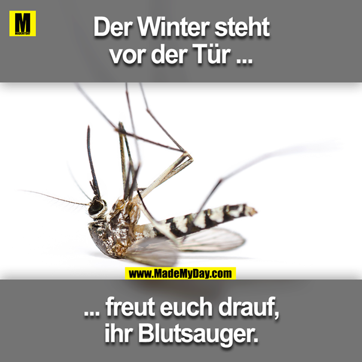 Der Winter steht vor der Tür ...<br />
... freut euch drauf ihr Blutsauger.
