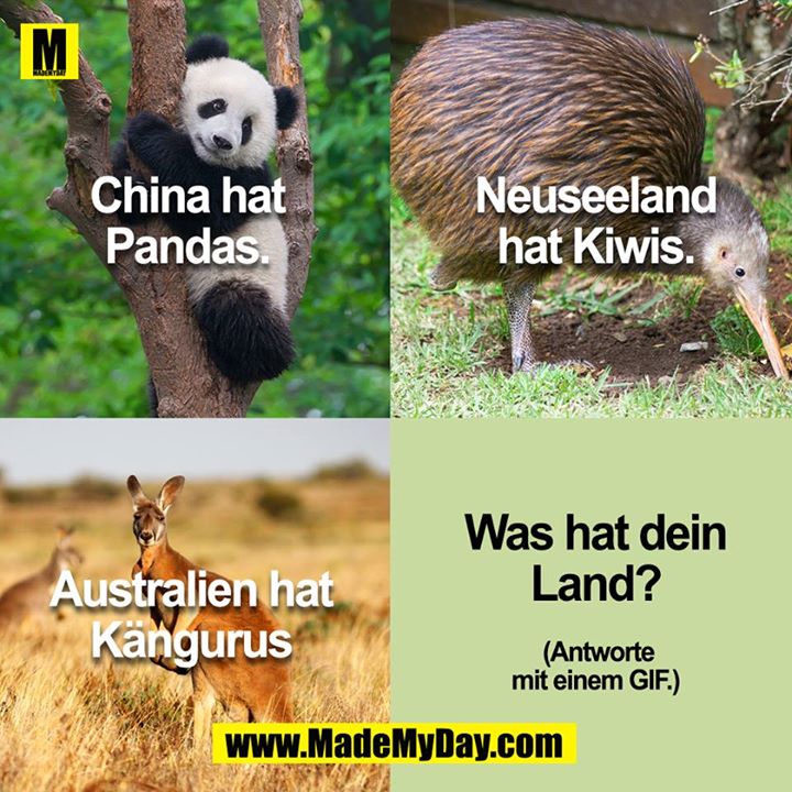 Wir haben Affen im Parlament.