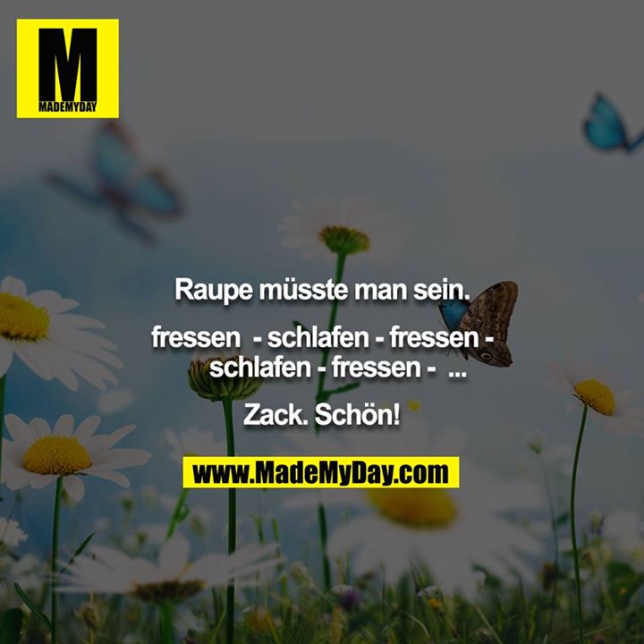 Raupe müsste man sein.<br />
<br />
fressen  - schlafen - fressen - schlafen - fressen -  ...<br />
<br />
Zack. Schön!