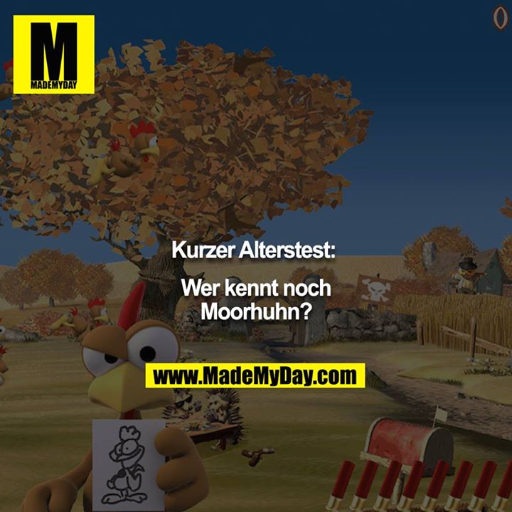 Kurzer Alterstest: <br />
Wer kennt noch Moorhuhn?