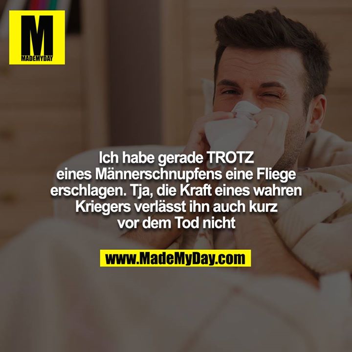 Ich habe gerade TROTZ eines Männerschnupfens eine Fliege<br />
erschlagen. Tja, die Kraft eines wahren Kriegers verlässt ihn auch kurz vor dem Tod nicht