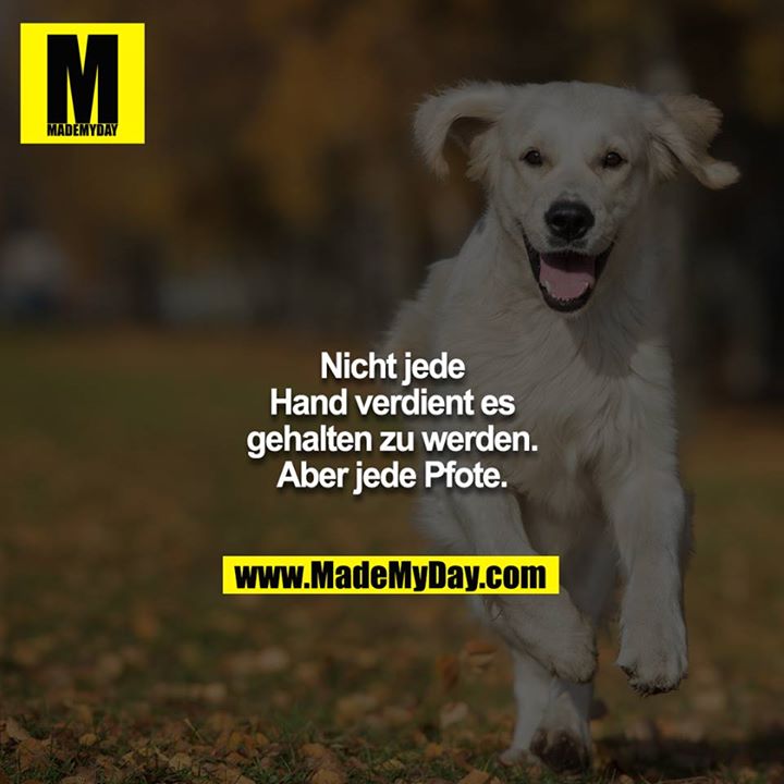 Nicht jede Hand verdient es gehalten zu werden. Aber jede Pfote.