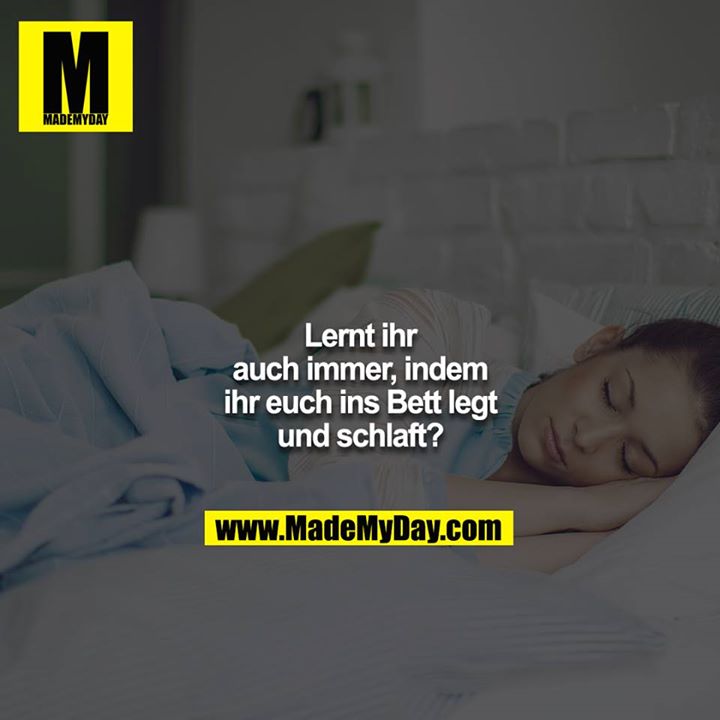 Lernt ihr auch immer, indem ihr euch ins Bett legt und schlaft?