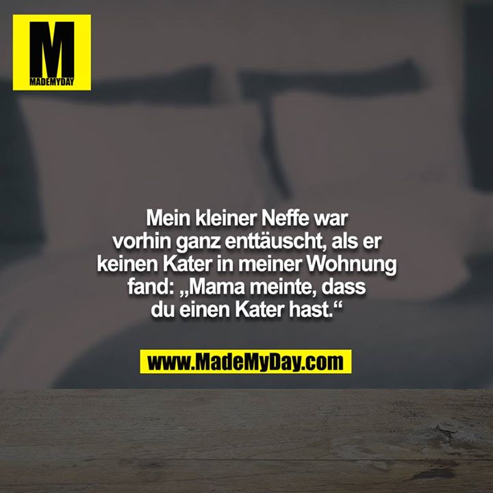 Mein kleiner Neffe war vorhin ganz enttäuscht, als er keinen Kater in meiner Wohnung fand: „Mama meinte, dass du einen Kater hast.“