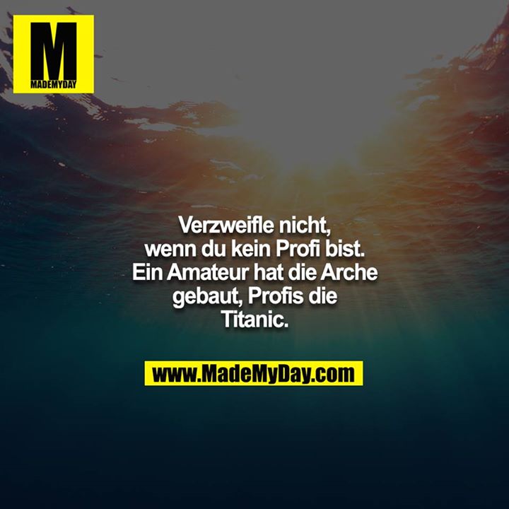 Verzweifle nicht, wenn du kein Profi bist. Ein Amateur hat die Arche gebaut, Profis die Titanic.