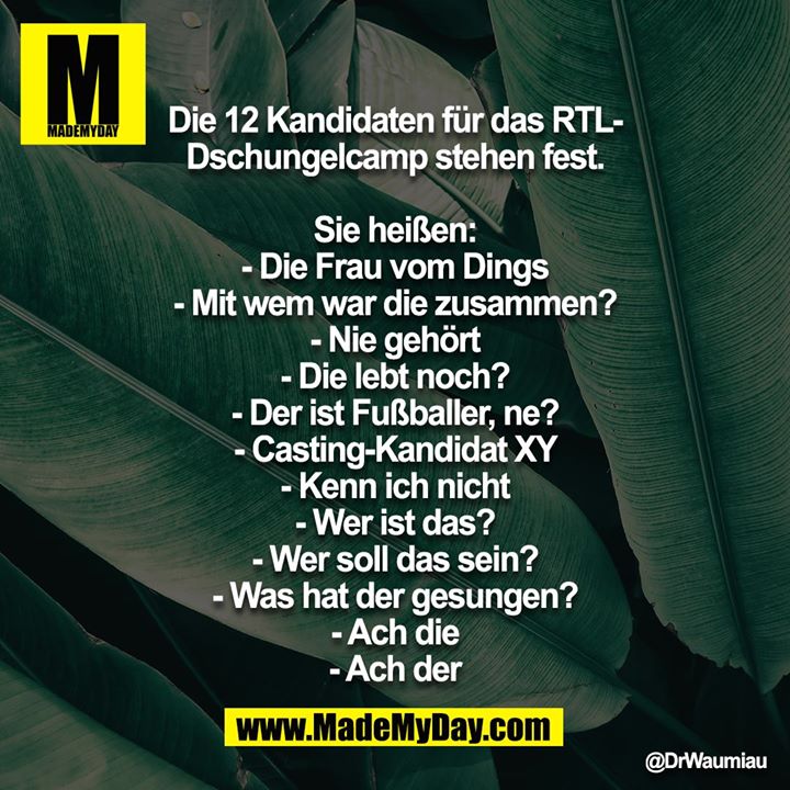Die 12 Kandidaten für das RTL-Dschungelcamp stehen fest.<br />
<br />
Sie heißen:<br />
- Die Frau vom Dings<br />
- Mit wem war die zusammen?<br />
- Nie gehört<br />
- Die lebt noch?<br />
- Der ist Fußballer, ne?<br />
- Casting-Kandidat XY<br />
- Kenn ich nicht<br />
- Wer ist das?<br />
- Wer soll das sein?<br />
- Was hat der gesungen?<br />
- Ach die<br />
- Ach der