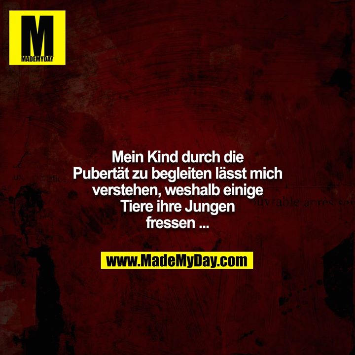 Mein Kind durch die Pubertät zu begleiten lässt mich verstehen, weshalb einige Tiere ihre Jungen fressen ...