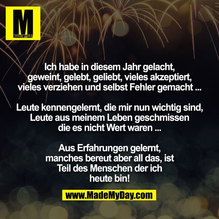 Ich habe in diesem Jahr gelacht, geweint, gelebt, geliebt, vieles akzeptiert, vieles verziehen und selbst Fehler gemacht ...<br />
<br />
Leute kennengelernt, die mir nun wichtig sind, Leute aus meinem Leben geschmissen die es nicht Wert waren ...<br />
<br />
Aus Erfahrungen gelernt, manches bereut aber all das, ist Teil des Menschen der ich heute bin!
