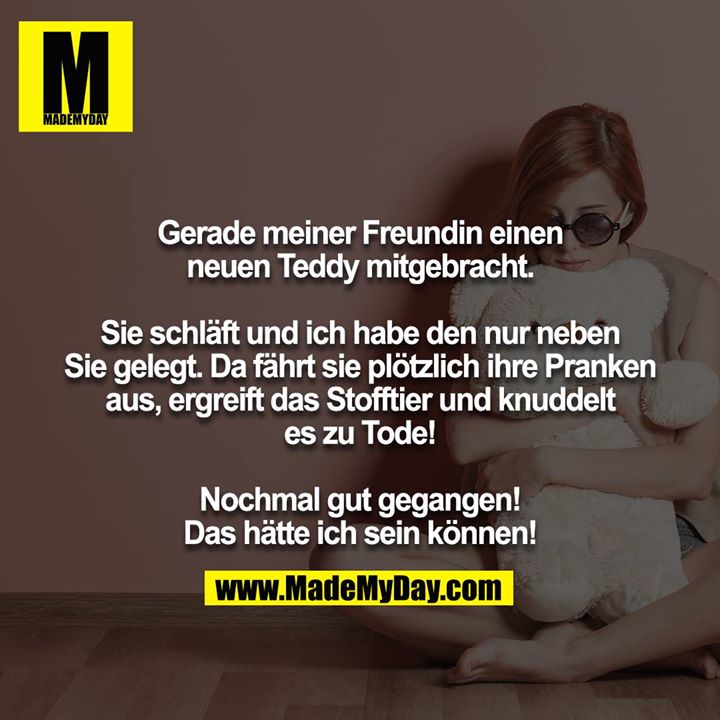 Gerade meiner Freundin einen neuen Teddy mitgebracht.<br />
<br />
Sie schläft und ich habe den nur neben Sie gelegt. Da fährt sie plötzlich ihre Pranken aus, ergreift das Stofftier und knuddelt es zu Tode!<br />
<br />
Nochmal gut gegangen! Das hätte ich sein können!