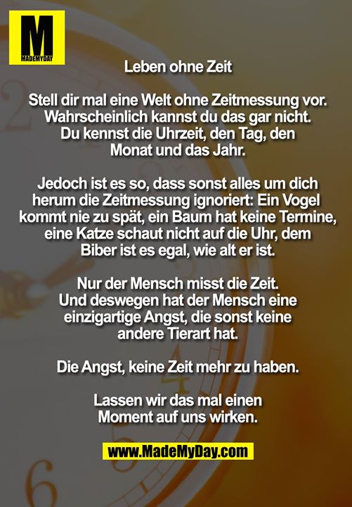 Leben ohne Zeit<br />
<br />
Stell dir mal eine Welt ohne Zeitmessung vor. Wahrscheinlich kannst du das gar nicht. Du kennst die Uhrzeit, den Tag, den<br />
Monat und das Jahr.<br />
<br />
Jedoch ist es so, dass sonst alles um dich herum die Zeitmessung ignoriert: Ein Vogel kommt nie zu spät, ein Baum hat keine Termine, eine Katze schaut nicht auf die Uhr, dem Biber ist es egal, wie alt er ist.<br />
<br />
Nur der Mensch misst die Zeit. Und deswegen hat der Mensch eine einzigartige Angst, die sonst keine andere Tierart hat.<br />
<br />
Die Angst, keine Zeit mehr zu haben.<br />
<br />
Lassen wir das mal einen Moment auf uns wirken.