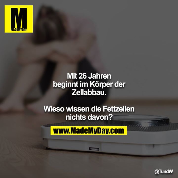 Mit 26 Jahren beginnt im Körper der Zellabbau.<br />
Wieso wissen die Fettzellen nichts davon?