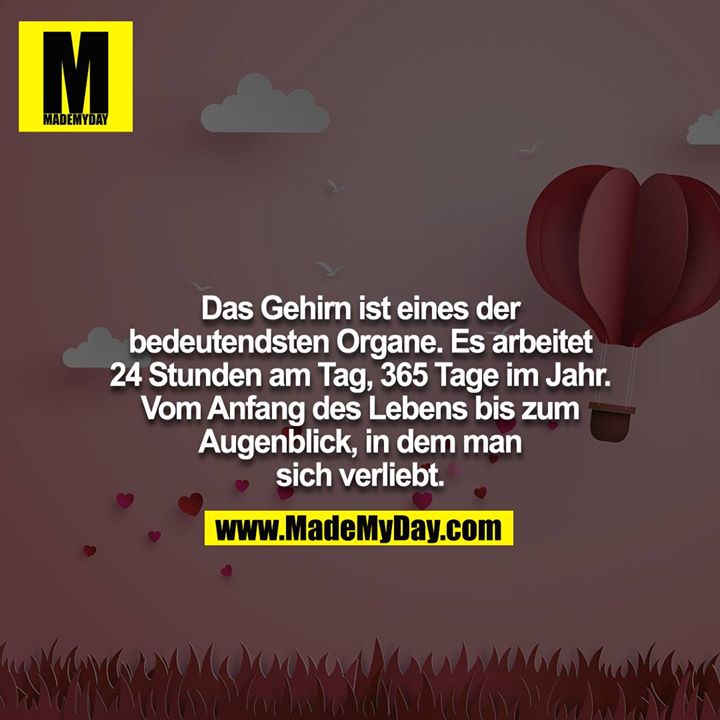 Das Gehirn ist eines der bedeutendsten Organe. Es arbeitet 24 Stunden am Tag, 365 Tage im Jahr. Vom Anfang des Lebens bis zum Augenblick, in dem man sich verliebt.