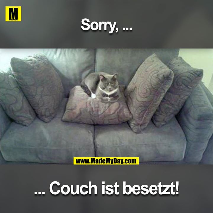 Sorry ...<br />
... Couch ist besetzt!