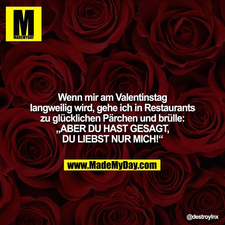 Wenn mir am Valentinstag langweilig wird, gehe ich in Restaurants zu glücklichen Pärchen und brülle: „ABER DU HAST GESAGT, DU LIEBST NUR MICH!“