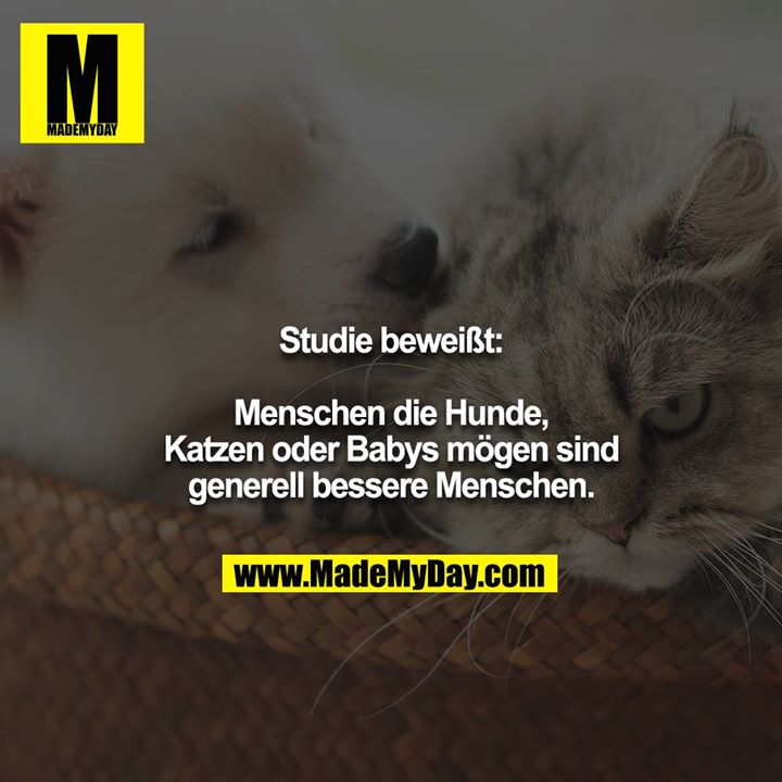 Studie beweißt:<br />
<br />
Menschen die Hunde, Katzen oder Babys mögen sind generell bessere Menschen.