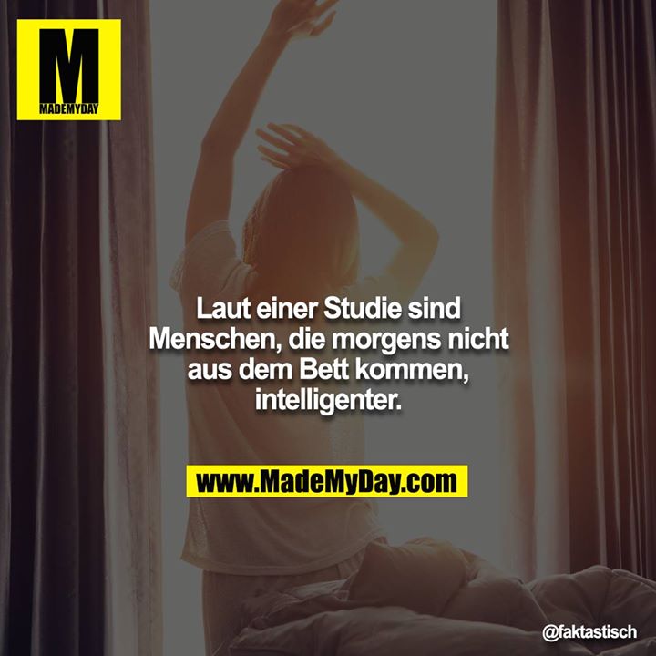 Laut einer Studie sind Menschen, die morgens nicht aus dem Bett kommen, intelligenter.