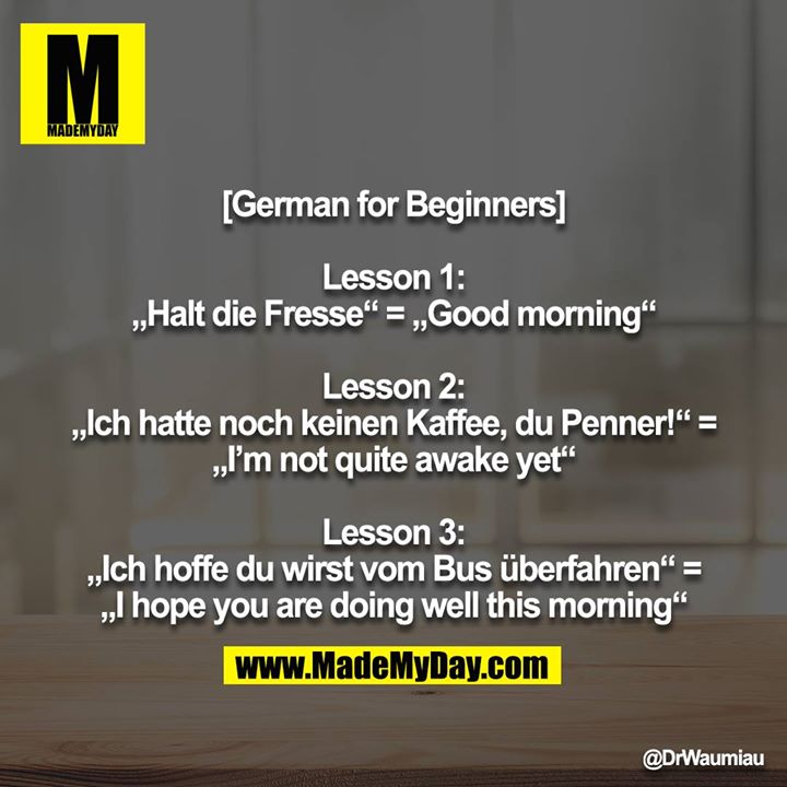 [German for Beginners]<br />
<br />
Lesson 1:<br />
„Halt die Fresse“ = „Good morning“<br />
<br />
Lesson 2:<br />
„Ich hatte noch keinen Kaffee, du Penner!“ = „I’m not quite awake yet“<br />
<br />
Lesson 3:<br />
„Ich hoffe du wirst vom Bus überfahren“ = „I hope you are doing well this morning“