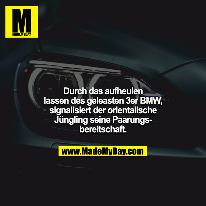 Durch das aufheulen lassen des geleasten 3er BMW, signalisiert der orientalische Jüngling seine Paarungsbereitschaft.