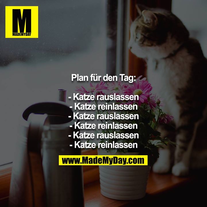 Plan für den Tag:<br />
<br />
- Katze rauslassen<br />
- Katze reinlassen<br />
- Katze rauslassen<br />
- Katze reinlassen<br />
- Katze rauslassen<br />
- Katze reinlassen