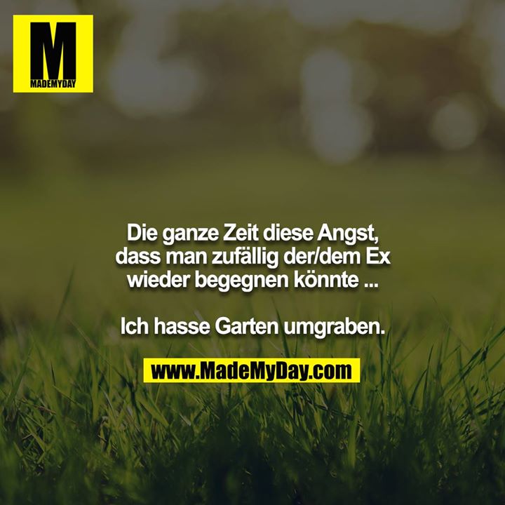 Die ganze Zeit diese Angst, dass man zufällig der/dem Ex wieder begegnen könnte ...<br />
<br />
Ich hasse Garten umgraben.