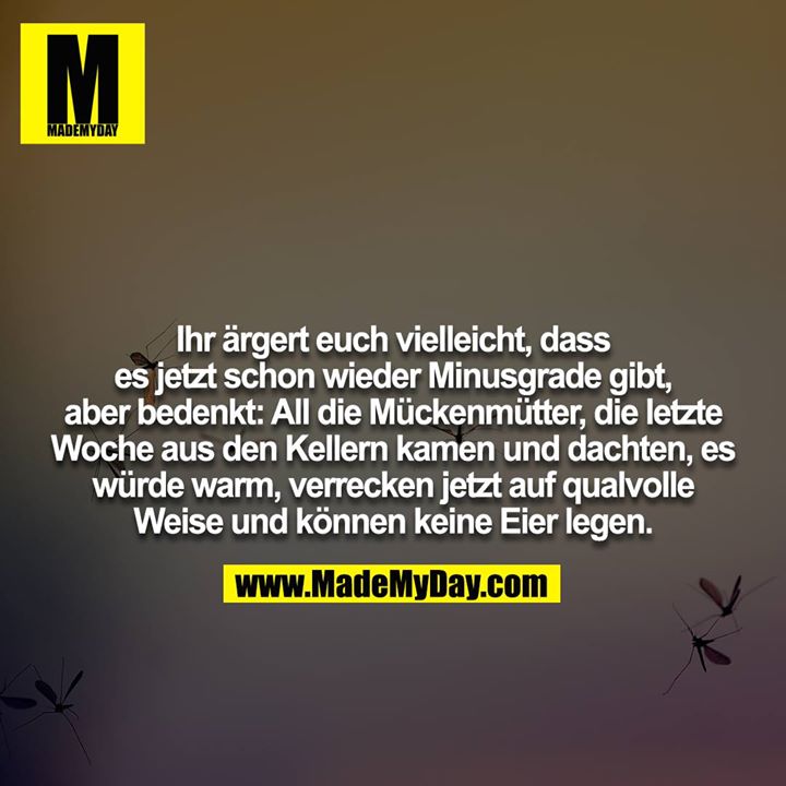 Ihr ärgert euch vielleicht, dass es jetzt schon wieder Minusgrade gibt, aber bedenkt: All die Mückenmütter, die letzte Woche aus den Kellern kamen und dachten, es würde warm, verrecken jetzt auf qualvolle Weise und können keine Eier legen.