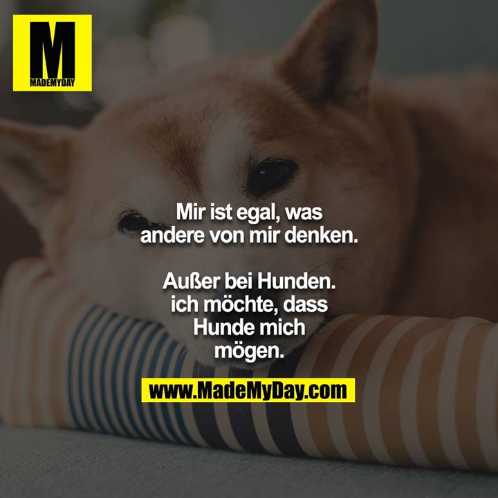 Mir ist egal, was andere von mir denken.<br />
<br />
Außer bei Hunden. Ich möchte, dass Hunde mich mögen.
