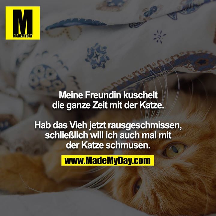 Meine Freundin kuschelt die ganze Zeit mit der Katze. Hab das Vieh jetzt rausgeschmissen, schließlich will ich auch mal mit der Katze schmusen.