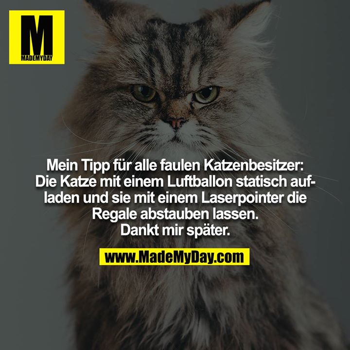 Mein Tipp für alle faulen Katzenbesitzer: Die Katze mit einem Luftballon statisch aufladen und sie mit einem Laserpointer die Regale abstauben lassen. Dankt mir später.
