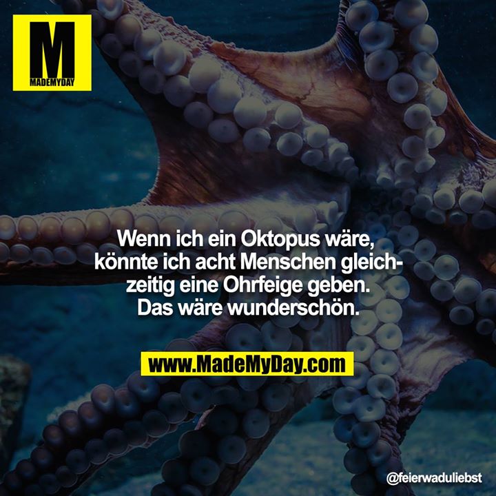 Wenn ich ein Oktopus wäre, könnte ich acht Menschen gleichzeitig eine Ohrfeige geben. Das wäre wunderschön.