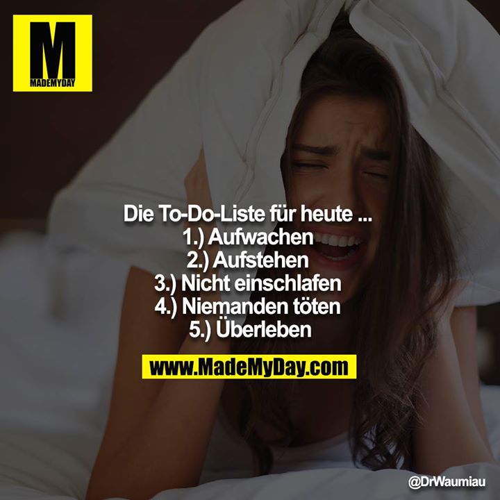 Die To-Do-Liste für heute ... <br />
1.) Aufwachen <br />
2.) Aufstehen <br />
3.) Nicht einschlafen <br />
4.) Niemanden töten <br />
5.) Überleben