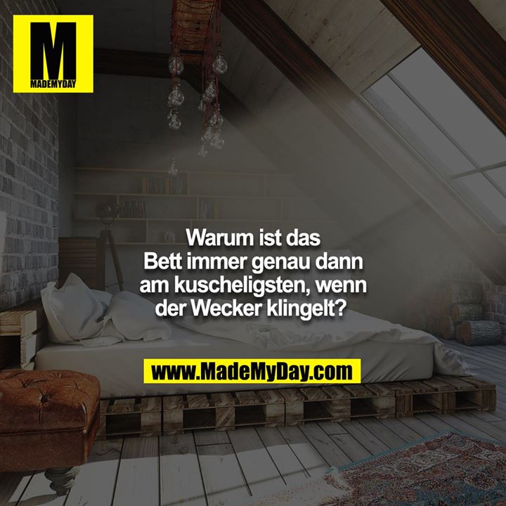 Warum ist das Bett immer genau dann am kuscheligsten, wenn der Wecker klingelt?