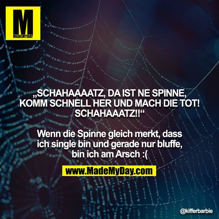 „SCHAHAAAATZ, DA IST NE SPINNE, KOMM SCHNELL HER UND MACH DIE TOT! SCHAHAAATZ!!“<br />
<br />
Wenn die Spinne gleich merkt, dass ich single bin und gerade nur bluffe, bin ich am Arsch :(