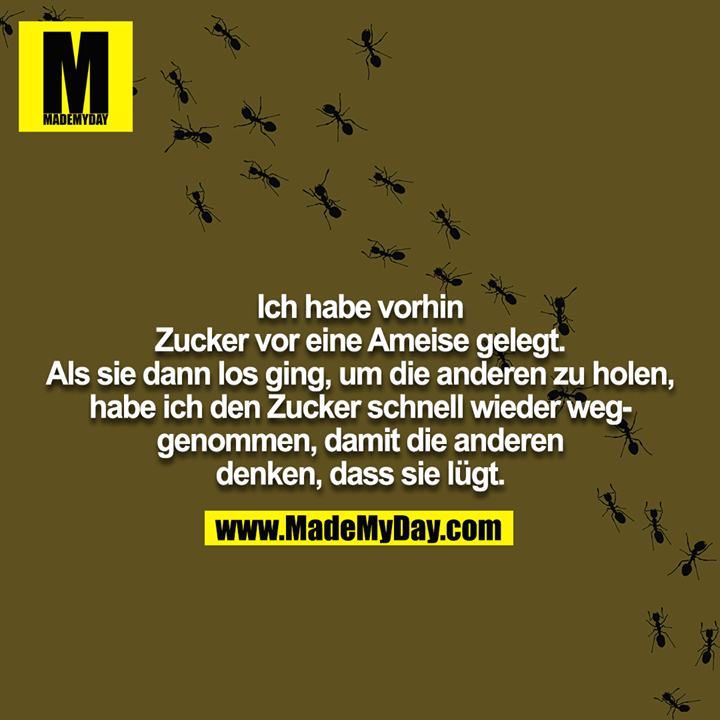 Ich habe vorhin Zucker vor eine Ameise gelegt. Als sie dann los ging, um die anderen zu holen, habe ich den Zucker schnell wieder weggenommen, damit die anderen denken, dass sie lügt.