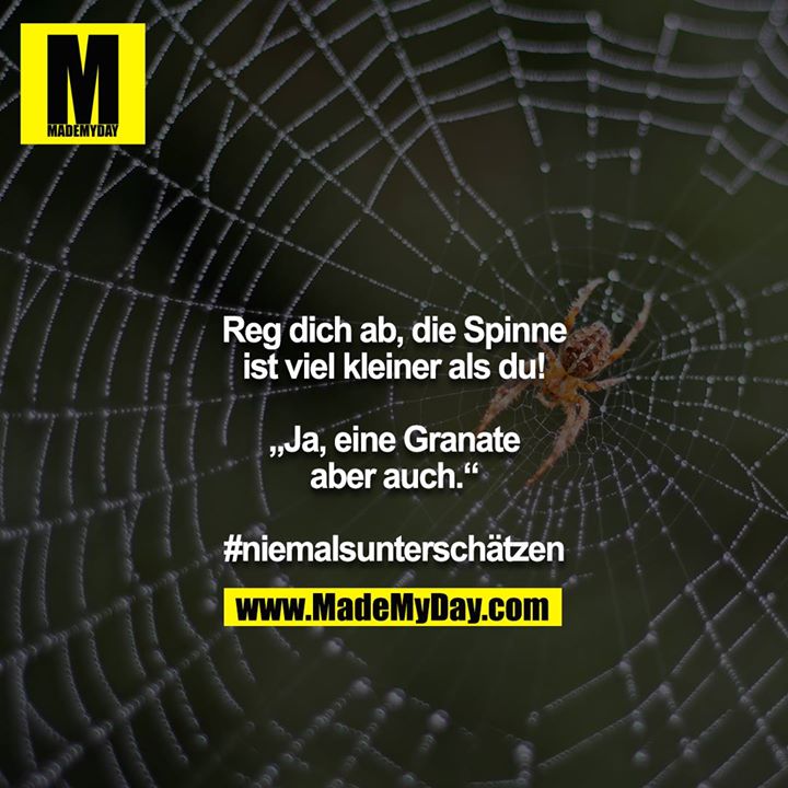 Reg dich ab, die Spinne ist viel kleiner als du!<br />
<br />
,,Ja, eine Granate aber auch.“<br />
<br />
#niemalsunterschätzen