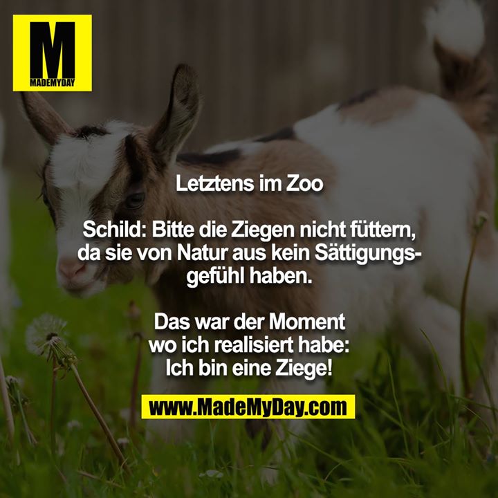 Letztens im Zoo<br />
<br />
Schild: Bitte die Ziegen nicht füttern, da sie von Natur aus kein Sättigungsgefühl haben.<br />
 <br />
Das war der Moment wo ich realisiert habe: Ich bin eine Ziege!