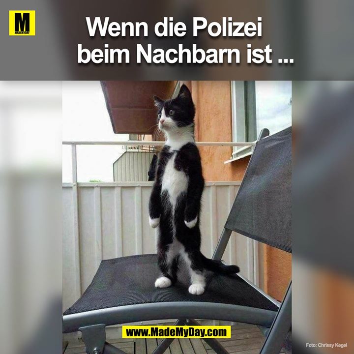 Wenn die Polizei beim Nachbarn ist ...