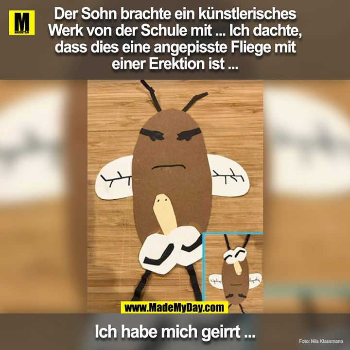 Der Sohn brachte ein künstlerisches Werk von der Schule mit ... Ich dachte, dass dies eine angepisste Fliege mit einer Erektion ist ... Ich habe mich geirrt ...