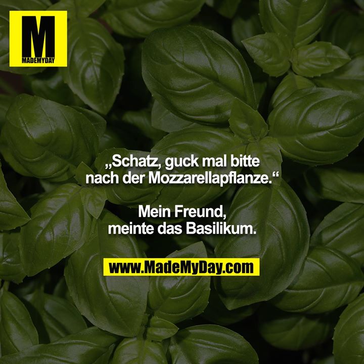 „Schatz, guck mal bitte nach der Mozzarellapflanze.“<br />
<br />
Mein Freund, meinte das Basilikum.