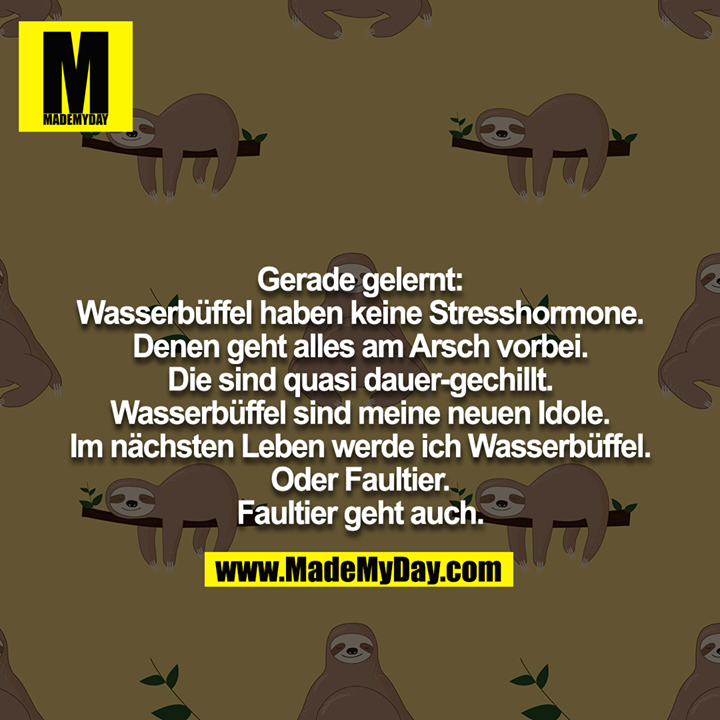 Gerade gelernt: Wasserbüffel haben keine Stresshormone. Denen geht alles am Arsch vorbei. Die sind quasi dauer-gechillt. Wasserbüffel sind meine neuen Idole. Im nächsten Leben werde ich Wasserbüffel. Oder Faultier. Faultier geht auch.