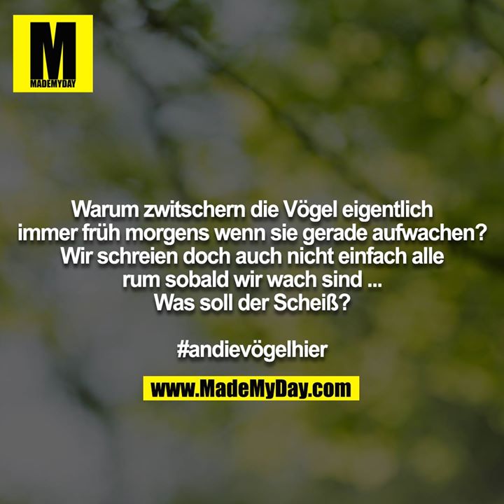 Warum zwitschern die Vögel eigentlich immer früh morgens wenn sie gerade aufwachen? Wir schreien doch auch nicht einfach alle rum sobald wir wach sind ... Was soll der Scheiß?<br />
<br />
#andievögelhier