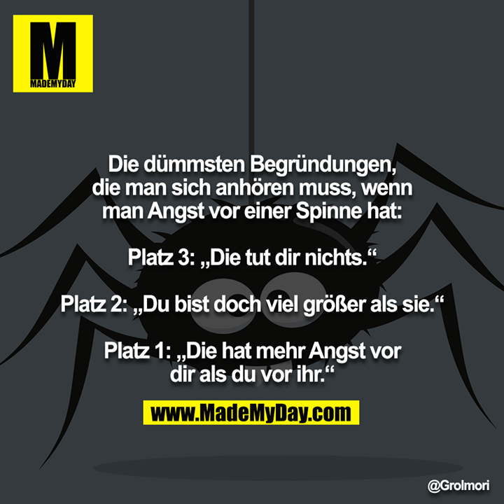 Die dümmsten Begründungen, die man sich anhören muss, wenn man Angst vor einer Spinne hat:<br />
<br />
Platz 3: „Die tut dir nichts.“<br />
<br />
Platz 2: „Du bist doch viel größer als sie.“<br />
<br />
Platz 1: „Die hat mehr Angst vor dir als du vor ihr.“