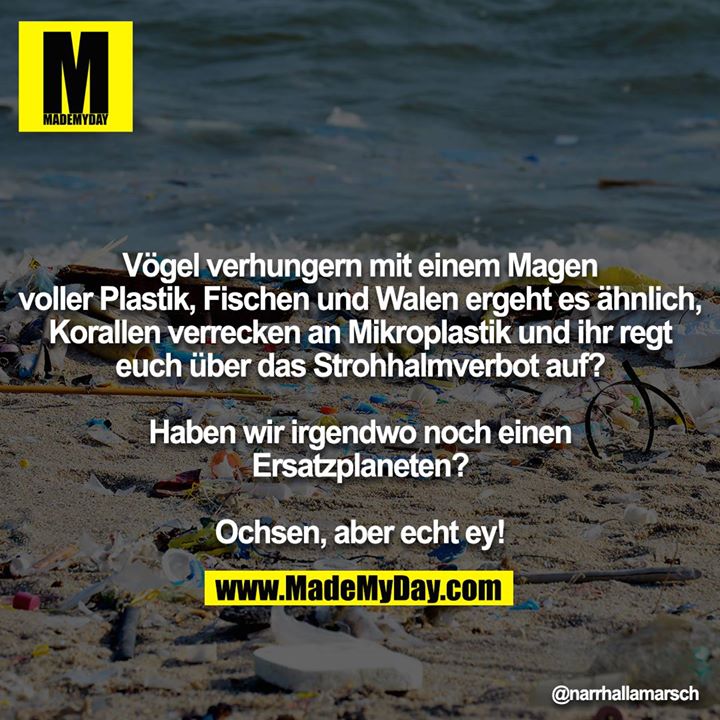 Vögel verhungern mit einem Magen voller Plastik, Fischen und Walen ergeht es ähnlich, Korallen verrecken an Mikroplastik und ihr regt euch über das Strohhalmverbot auf?<br />
<br />
Haben wir irgendwo noch einen Ersatzplaneten?<br />
<br />
Ochsen, aber echt ey!