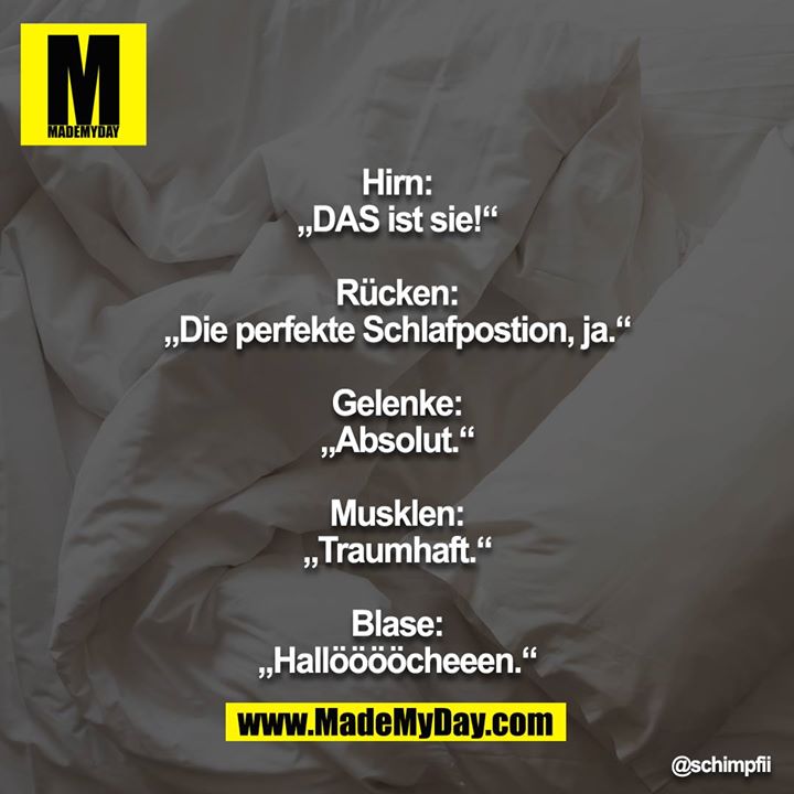 Hirn: „DAS ist sie!“<br />
<br />
Rücken: „Die perfekte Schlafpostion, ja.“<br />
<br />
Gelenke: „Absolut.“<br />
<br />
Musklen: „Traumhaft.“<br />
<br />
Blase: „Hallööööcheeen.“