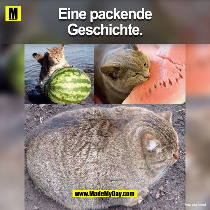Eine packende Geschichte:<br />

